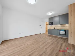 Pronájem bytu 2+kk, Hradec Králové - Třebeš, Pod Zámečkem, 60 m2