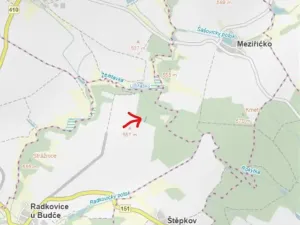 Prodej lesa, Radkovice u Budče, 755 m2