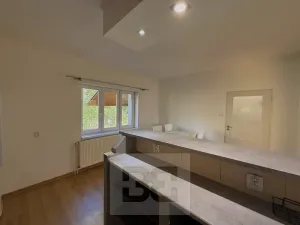 Pronájem bytu 2+1, Vodochody, U Studánky, 74 m2