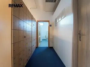 Pronájem obchodního prostoru, Kolín, Sladkovského, 540 m2