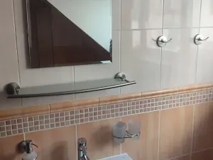 Pronájem bytu 1+kk, Frýdek-Místek, Ostravská, 32 m2