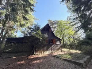 Prodej chaty, Borová, 53 m2