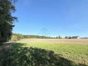 Prodej chaty, Borová, 53 m2