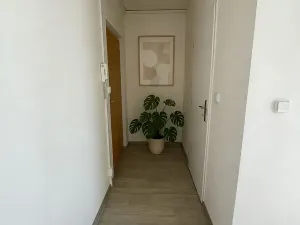 Pronájem bytu 1+kk, Litvínov, Studentská, 32 m2