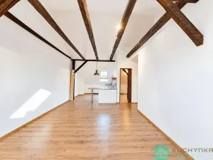 Pronájem bytu 1+kk, Hrob, Rybniční, 47 m2
