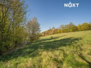 Prodej pozemku pro bydlení, Velké Losiny, 1856 m2