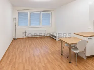 Pronájem bytu 1+kk, Olomouc, Aloise Rašína, 29 m2