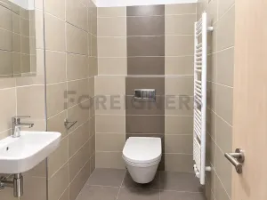 Pronájem bytu 1+kk, Olomouc, Aloise Rašína, 29 m2