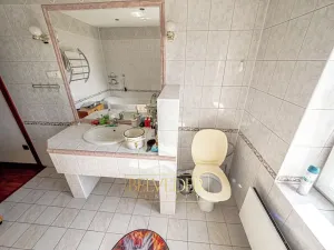 Prodej vícegeneračního domu, Teplice, Doubravská, 430 m2