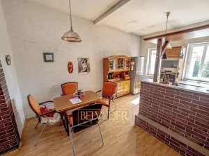 Prodej vícegeneračního domu, Teplice, Doubravská, 430 m2