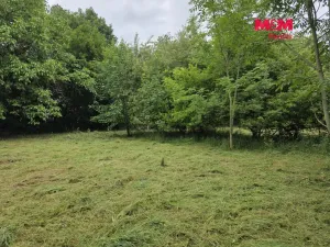 Prodej pozemku pro bydlení, Bor - Boječnice, 1093 m2