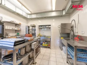 Prodej rodinného domu, Horní Slavkov, Ke Koupališti, 443 m2