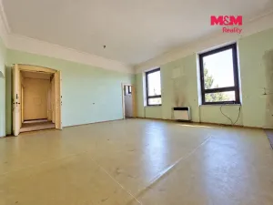 Prodej obchodního prostoru, Kolín - Kolín II, Sokolská, 230 m2