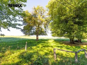 Prodej pozemku pro bydlení, Teplice nad Metují, 4759 m2