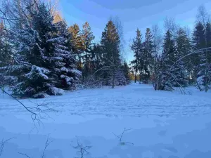 Prodej pozemku, Frýdštejn, 1080 m2