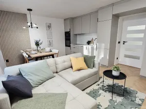 Prodej bytu 3+kk, Pardubice - Zelené Předměstí, Sokolovská, 66 m2