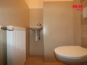 Pronájem bytu 1+1, Velké Březno - Valtířov, 47 m2
