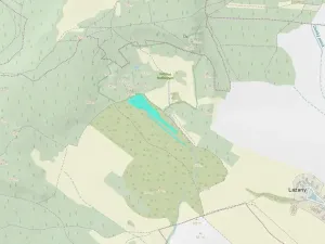 Dražba pozemku, Černošín, 17271 m2