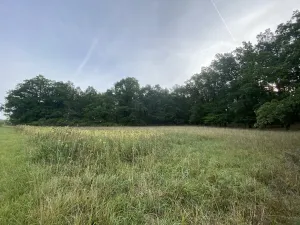 Prodej louky, Ostřetín - Vysoká u Holic, 2972 m2