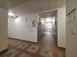 Pronájem bytu 2+1, Praha - Bubeneč, U zeměpisného ústavu, 49 m2