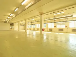 Pronájem výrobních prostor, Brno, Bohunická, 300 m2