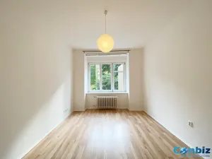 Prodej bytu 1+1, Praha - Karlín, Peckova, 29 m2