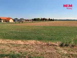 Prodej pole, Městec Králové, Pražská, 7574 m2
