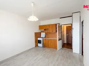 Prodej bytu 2+kk, Plzeň - Severní Předměstí, Sokolovská, 40 m2