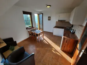 Pronájem bytu 2+kk, Vítkovice, 36 m2