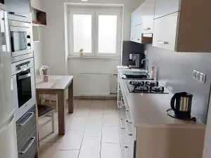 Prodej bytu 2+1, Sokolov, Pionýrů, 54 m2