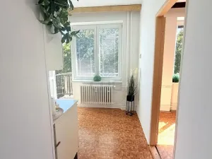 Prodej bytu 1+1, Brno - Lesná, Nejedlého, 38 m2