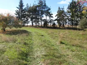 Prodej rodinného domu, Březová, 120 m2