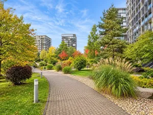 Prodej bytu 3+kk, Praha - Žižkov, Pitterova, 88 m2