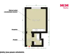 Pronájem bytu 1+kk, Plzeň - Východní Předměstí, Sladkovského, 30 m2