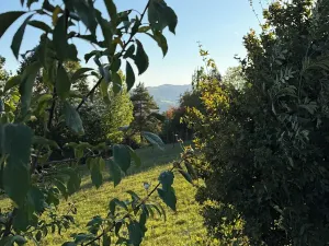 Prodej pozemku pro bydlení, Žítková, 2204 m2