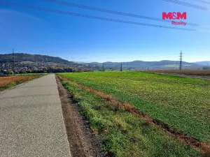 Prodej pole, Sentice, 24461 m2