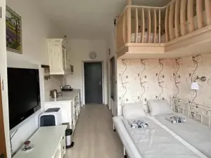 Pronájem bytu 1+kk, Slapy, 31 m2