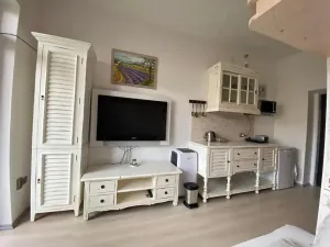 Pronájem bytu 1+kk, Slapy, 31 m2
