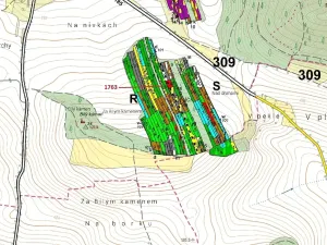 Dražba lesa, Koloveč, 7329 m2