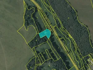 Dražba pozemku, Konstantinovy Lázně, 3741 m2