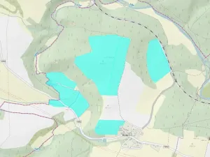 Dražba pozemku, Svojšín, 385333 m2