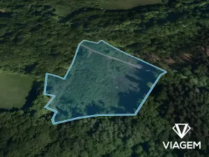 Prodej podílu lesa, Janová, 5802 m2