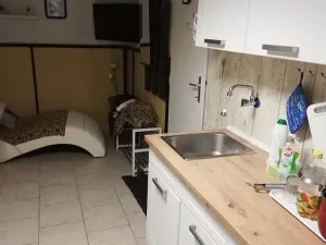 Pronájem bytu 1+1, Brno, V aleji, 40 m2
