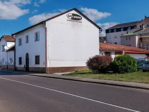 Prodej obchodního prostoru, Úpice, Palackého, 836 m2