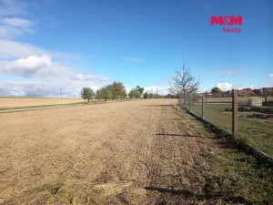 Prodej zemědělského objektu, Želetava - Šašovice, 344 m2