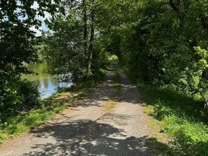 Pronájem zemědělské usedlosti, Ondřejov, Brožkova, 80 m2