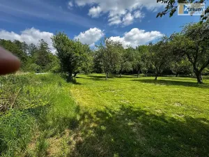 Pronájem zemědělské usedlosti, Ondřejov, Brožkova, 80 m2