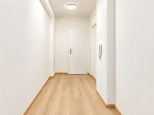 Prodej bytu 1+kk, Brno, 47 m2
