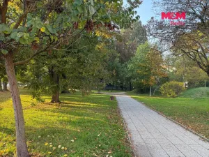 Pronájem bytu 2+kk, Lovosice, Sady pionýrů, 50 m2