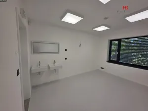 Pronájem komerční nemovitosti, Úhonice, Na Vlečce, 56 m2